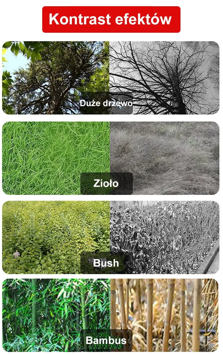 🔥【50% zniżki na nowy sklep】👍🌱Herbicyd cyklozynonowy