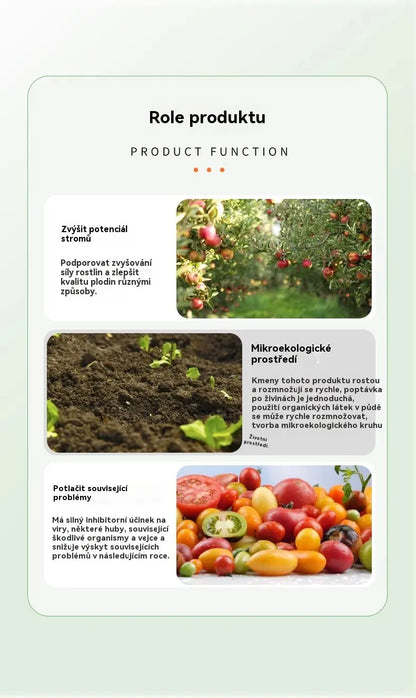 【Kup 1, a 1 dostaniesz gratis】 🍎 🍏🍑 Środek czyszczący do sadów – antybakteryjny + 50% zniżki!