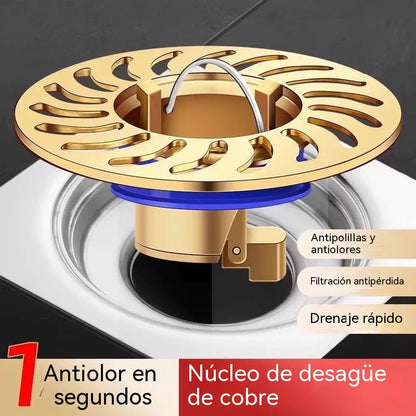 🚿 🔥 Desagüe universal de latón antiolor (antiolor e insectos): ¡Adiós a los malos olores!