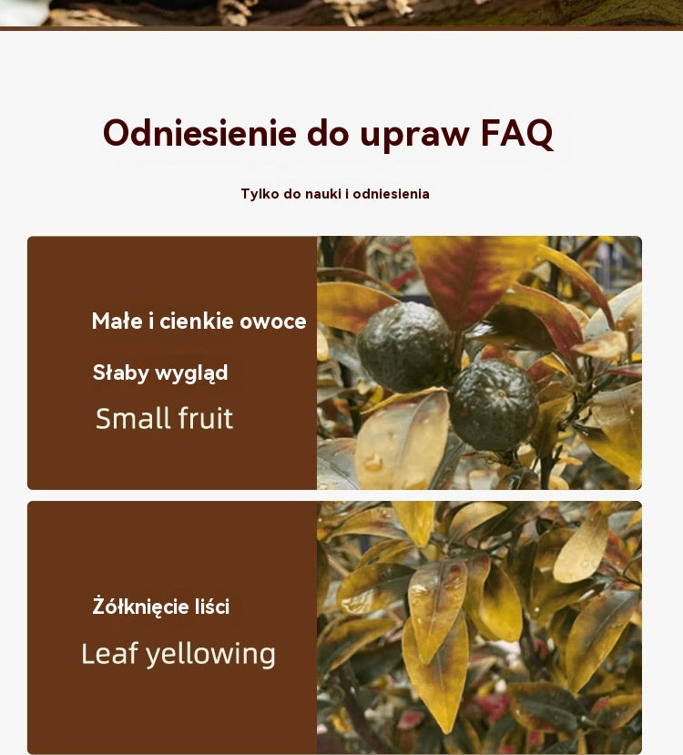 【Kup 1, a 1 dostaniesz gratis】🍎 Środek czyszczący do sadów – działanie antybakteryjne + 50% zniżki!